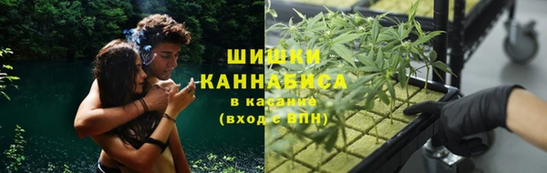 сатива Баксан