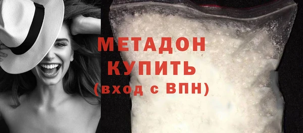 прущие грибы Саяногорск