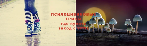 сатива Баксан