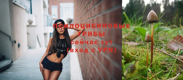мет Сафоново