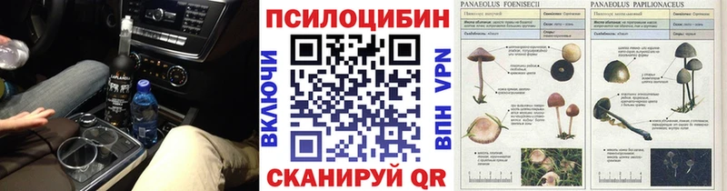 Галлюциногенные грибы мухоморы  где купить наркоту  Кузнецк 
